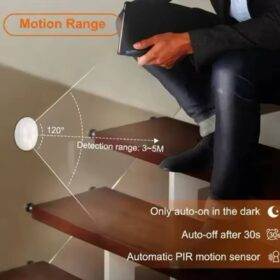 Body Induction Light